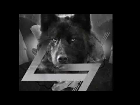 CORAZÓN DALTÓNICO - AMBKOR