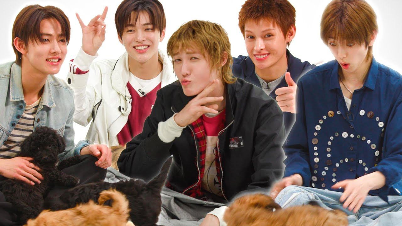 CORTIS: The Puppy Interview