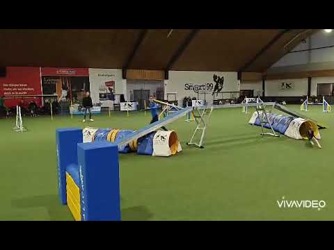 Guido, first place in Mendig, judge Daniel Walz