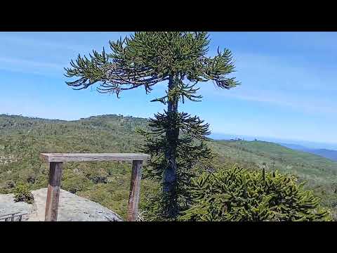 Parque nahuelbuta piedra del águila 