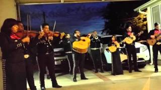 El Son de la Negra - Mariachi Aztecas de Oro