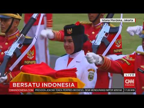Creatine dan potensi ulasan Tingtur jahe impotensi