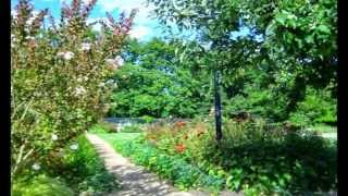 Bird of Paradise ڰۣڿڰۣ ♥ ڰۣڿڰۣ PAUL AVGERINOS