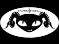 Puscifer - The Humbling River 