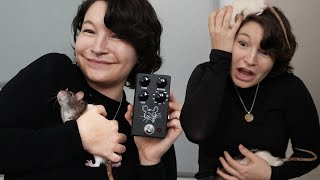 Video thumbnail for JHS PackRat but also real rats by Emily Hopkins