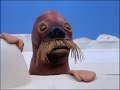 Pingu 21 Pingu S Dream Original VHS Version HQ Restored