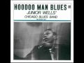 Hoodoo Man Blues-10-You Dont Love Me Baby
