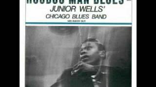 Hoodoo Man Blues-10-You Dont Love Me Baby