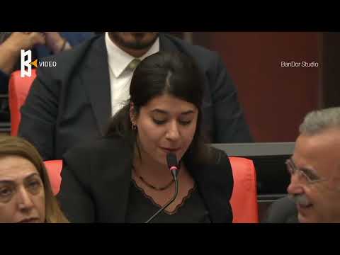 Genel Kurul'da Kürtçe Eğitim Gerginliği