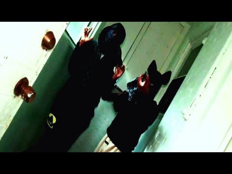 Baby9 - Swamp Stories (Official Music Video)