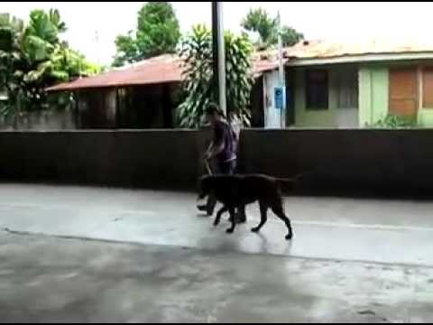 RAISA en clases de adiestramiento y visita de su familia 2