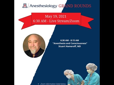 Anesthesia and Consciousness - Stuart Hameroff MD