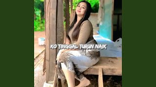 Download lagu Ko Tinggal Turun Naik mp3