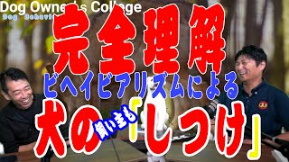 ビヘイビアリズム vs 伝統的な犬のしつけ Which One Gets REAL Results?