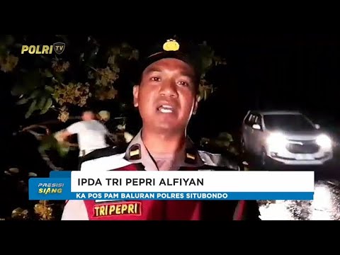 POLRES SITUBONDO EVAKUASI POHON TUMBANG