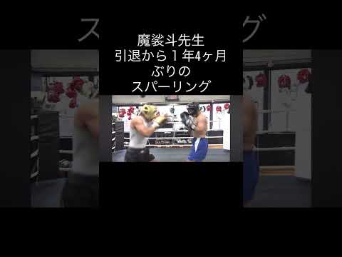 魔裟斗先生スパーリング #キックボクシング #格闘技 #ブレイキングダウン #k1wgp #スパーリング #魔裟斗 #シルバーウルフ