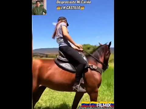 DESPRECIASTE MI CARIÑO- J.H.CASTILLO