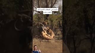 ما حدث في النهاية كانت ضربة صادمة!💥#shorts