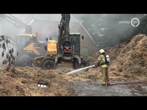 GLD Nieuws 5 augustus 2019 - Maandag 5 augustus