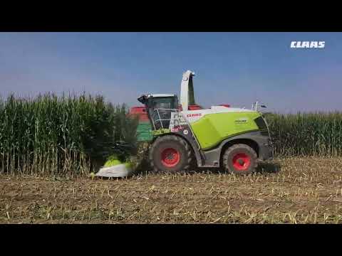 CLAAS In Campo 2021- JAGUAR 960