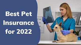 Best Pet Insurance for 2022 | Wag!