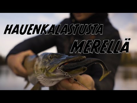 Kalastuksen juurilla, Hauenkalastusta merellä