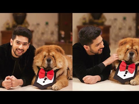 download lagu mp3 mp4 Armaan Malik Dog, download lagu Armaan Malik Dog gratis, unduh video klip Armaan Malik Dog
