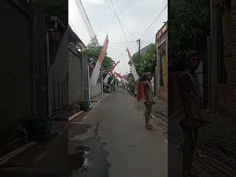 YouTube Shorts Preview