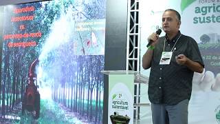 Fungos para controle de insetos - Marcos Faria (Embrapa)