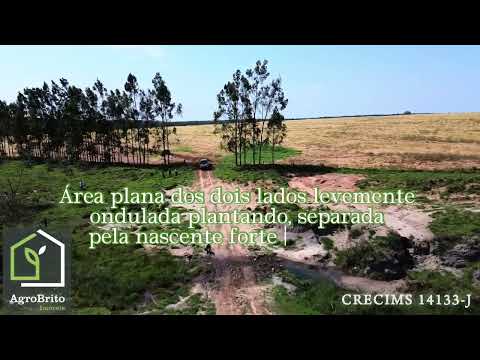Fazenda à venda em Iguatemi/MS