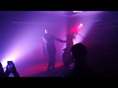 Die Selektion - Zeuge aus Licht Live at PINK WHALE 2023