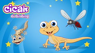 Cicak cicak di dinding || lagu anak anak || arkids 