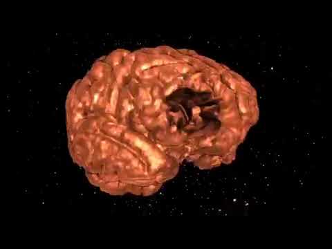 Cerrone - Supernature (feat  Dax Riders) (Official Music Video 2009)