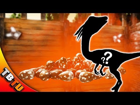 ARK COMPY BREEDING AND COLOR MUTATIONS! 500 COMPY EGGS! Ark Survival Evolved Zoo