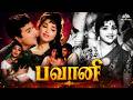 Bhavani பவானி 1967 Full Movie Jaishankar Vijayakumari Vanisri SA Ashokan தமிழ் �