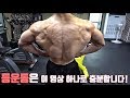 어깨가 넓어지려면 등운동은 필수입니다! 등운동 완벽 강의 영상