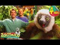 4 Hours Of Zoboomafoo Green Creatures Full Episodes For Kids