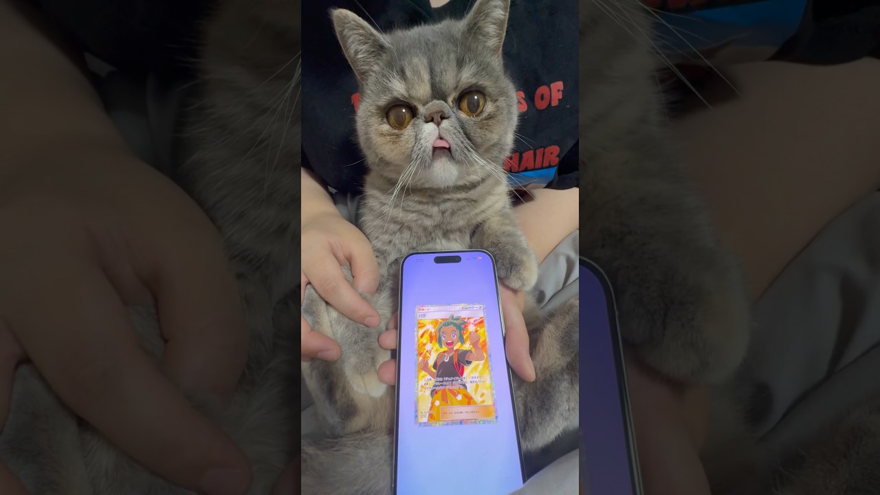 ほこりポケポケ開封 #ポケポケ #ポケポケ開封チャレンジ