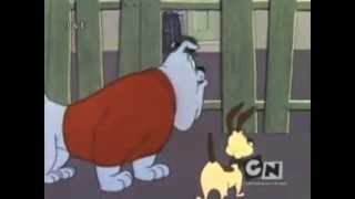 Looney Tunes Chester y Spike en Español