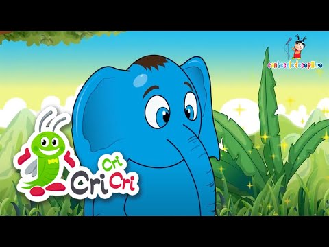 Colaj 8 cantecele cu animale pentru copii I CriCriCri #cantecepentrucopii
