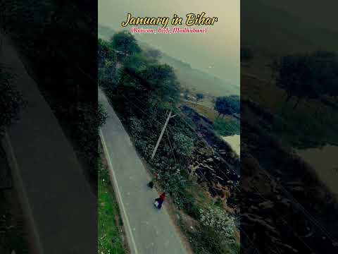 Gaon Ki Shanti | Real VillageNature Vibes #VillageLife #VillageNature #Gaon #RuralIndia #NatureVibes