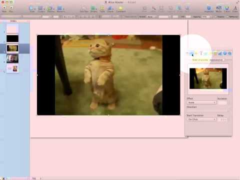 Black Background on a Keynote Slide