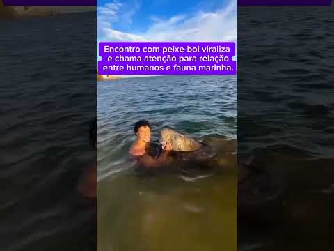 Encontro com peixe-boi viraliza e chama atenção para relação entre humanos e fauna marinha. VEJA