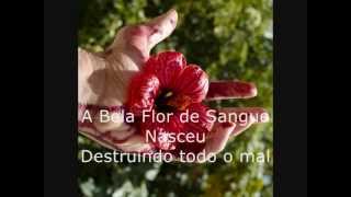 Amos - Flower of Blood (LEGENDADO)