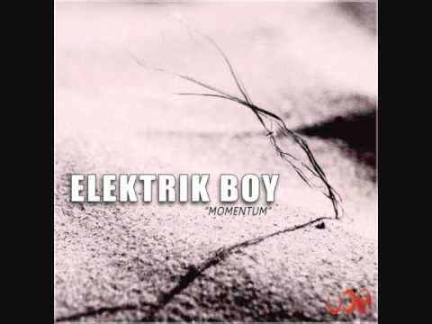 Elektrik Boy   Matrix Overloaded