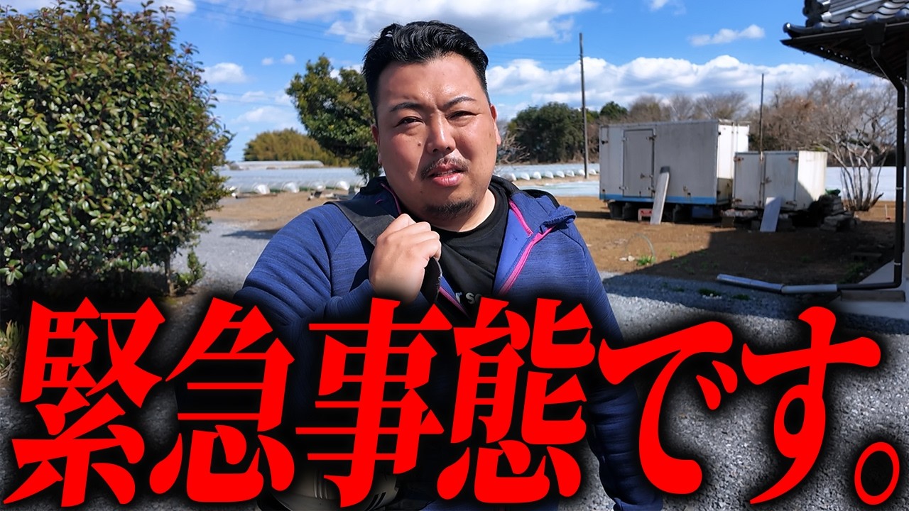 緊急事態が起きたので足場屋社長が急遽現場に出ることになりました、、