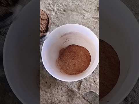 chocolate flavour cake  my first shorts video 🤗 Sangita