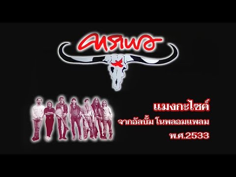 แมงกะไซค์ - คาราบาว อัลบั้ม โนพลอมแพลม (KARAOKE)
