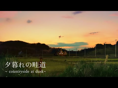 夕焼けの美しさ: 夕焼けが特に美的効果をもたらすのはそのためです