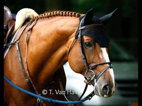 Emerald 2016 highlights